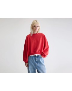 Bellerose | Sanguine