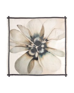 Moment in may | Amsterdam