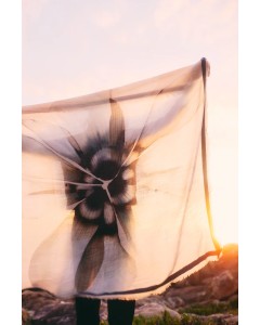 Moment in may | Amsterdam