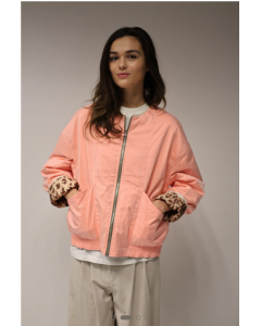 Bellerose | Highland