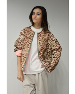 Bellerose | Highland